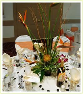 Largest Room, Carlsbad By The Sea Resort, Carlsbad