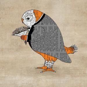 Orange Owl Florist