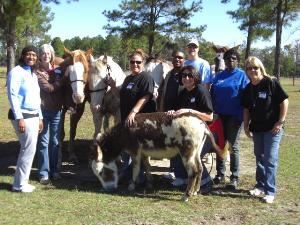 Hope-thru-Horses, Inc., Lumber Bridge — Hope-thru-Horses, team building, Fayetteville, NC area
