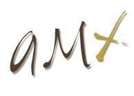 AMX Entertainment