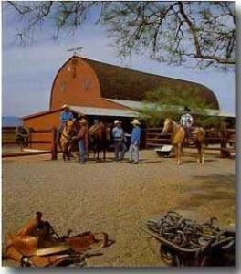 Flying E Ranch