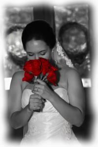 Blue Rose Photography