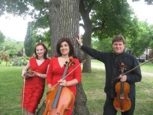 Fantasy Strings, Novi