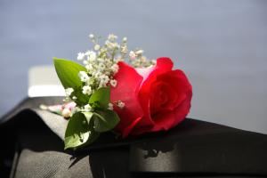 Billy Lane Photography
