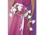 Send Your Love Florist & Gifts