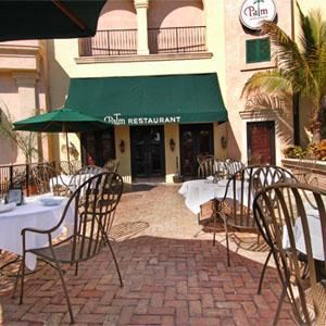 Patio, Palm: Tampa, Tampa