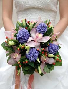 Social Graces, LLC