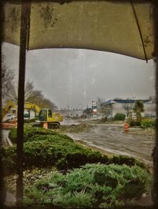 Lloyd Thrap Photography
