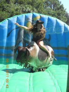 Blue Baboons Funtime Events