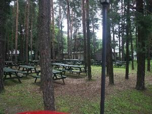 Schuetzenpark at the German-American Club of Albany, German-American Club of Albany, Albany — An angled view of the picnic area from the cooking grill area.