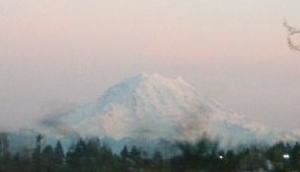 Gotchya Images, Tacoma