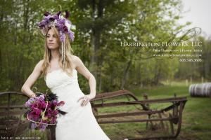 Harrington Flowers