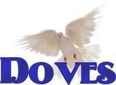 White Doves Los Angeles Southern California