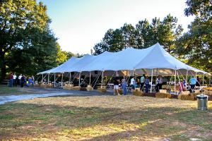Little Mulberry Park