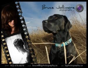 Bruce Jollimore Photography, Dartmouth