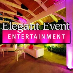 Elegant Event Entertainment Los Angeles Lighting, West Hills — Los Angeles Wedding Lighting