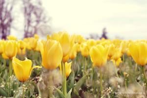 Photography by Tinajayne