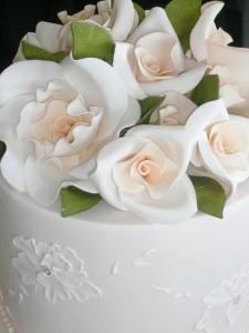 Elegant Expressions Photography, Quincy