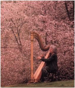 Gwyneth Evans Harp Music For Special Occasions