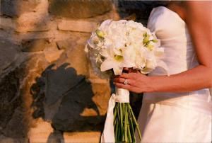 Parties & Petals
