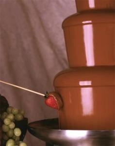 A Chocolate Celebration chocolate fountains, Dayton