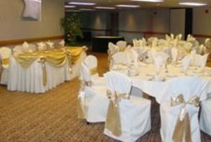 Mezzanine Ballroom, Laurel Manor, Livonia