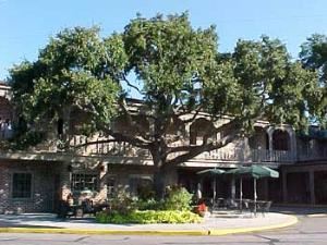 Best Western Sea Island Inn, Beaufort
