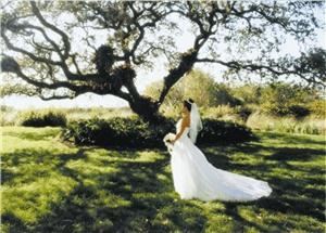Outdoor Ceremony & Outdoor Reception (Friday - Sunday), Marie Selby Botanical Gardens, Sarasota — Mansion oak setting