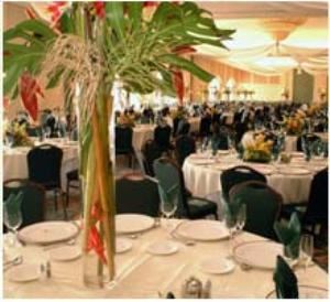 Treetop Ballroom, Jungle Island, Miami — At Treetop Ballroom, we are able to create exceptionally beautiful and lavish events regardless of size.