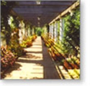 Garden Terraces, Daniel Stowe Botanical Garden, Belmont — Garden terraces adjoin all indoor rooms, offering a variety of casual, elegant settings for any celebration.
