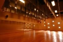 PNM Rehearsal Hall 1, National Hispanic Cultural Center, Albuquerque — Located on the second floor of the Roy E. Disney Center for Performing Arts, the PNM Rehersal Hall and Rehersal Hall #2 offer sprung wood floors to accommodate dance presentations, rehearsals and workshops along with dance barres, mirrors and substantial natural lighting. A full bathroom with showers and lockers is located next door.
