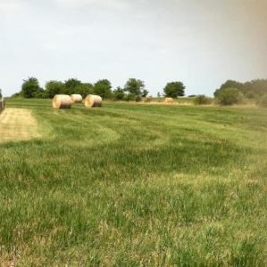 The Park At Claircrest