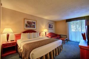 Quality Inn and Suites - Detroit Troy