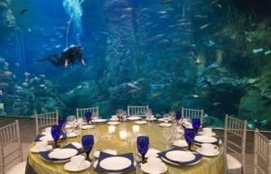 Banquet Room, Seattle Aquarium, Seattle