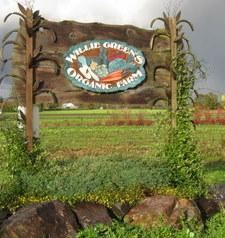 Willie Green's Farms, Monroe