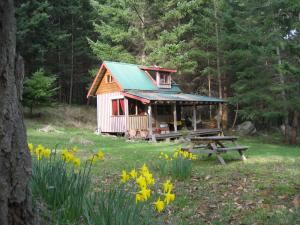Cabin, Eagles Nest Retreat, Galiano — The cabin is quite separate from the main house and very private.
It has a sleeping loft with a queen bed as well as a queen sofabed downstairs, a well equipped kitchen and full bathroom.
It opens onto a very large veranda with ocean view.