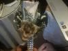 AMDH Weddings & Events, Ajax