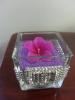 AMDH Weddings & Events, Ajax