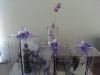 AMDH Weddings & Events, Ajax