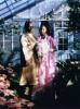 AMDH Weddings & Events, Ajax