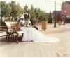 AMDH Weddings & Events, Ajax