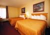 Comfort Inn & Suites near the University of Maryland, College Park — Standard Double