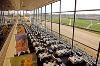 Pimlico Race Course, Baltimore — Terrace Dining
Reservation: (410) 542-9127
Group Reservation: (301) 470-5439/(410) 578-4432 
The Terrace Dining Room overlooks the historical Pimlico Race Course and brings eloquence to your Pimlico experience with four star dining and an elaborate Sunday brunch.  Be sure to stop by the Pimlico museum, located adjacent from the maitre'd stand, and enjoy exciting Pimlico memorabilia from the past 200 years.