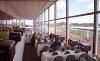 Pimlico Race Course, Baltimore — Jockey Club

Reservation: (410) 542-9127

This secluded dining room can be rented out to large groups and private parties.  Its peered layout insures a great view of the track from any seat.