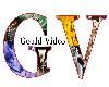 Gould Video, Long Beach — Wedding videography located in Long Beach.  Gouldvideo provides professional wedding videography to all of Los Angeles and Orange Counties.
Videographer, Mike Goulding shoots and edits all of the wedding videos himself to ensure the finest in video quality.