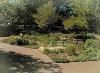 Perennial Garden, Fort Worth Botanic Garden, Fort Worth