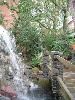 Garden, The Grand Prospect Hall, Brooklyn