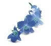 Blue Orchid Designs, Phoenix — Planning events worldwide, Blue Orchid Designs delivers a luxurious experience to the discerning bride.