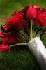 Jade Water Designs - Floral Designs, Mount Pleasant