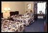 Holiday Inn Auburn, Auburn — Standard Guest Room